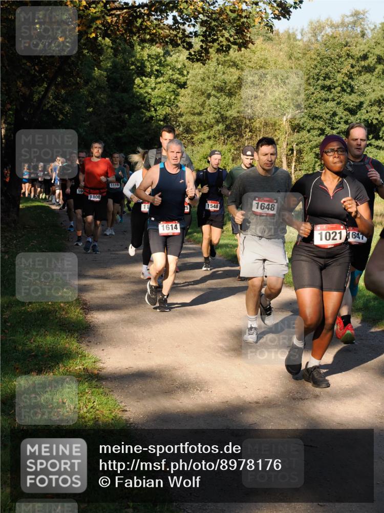 28.09.2025 - 33. Volkslauf durch das schöne Alstertal Fabian Wolf http://msf.ph/oto/8978176 28.09.2025 10:04:45 Laufen 16, 1808, 1119, 11, 1614, 1548, 1648, 1021, 1647 meine-sportfotos.de