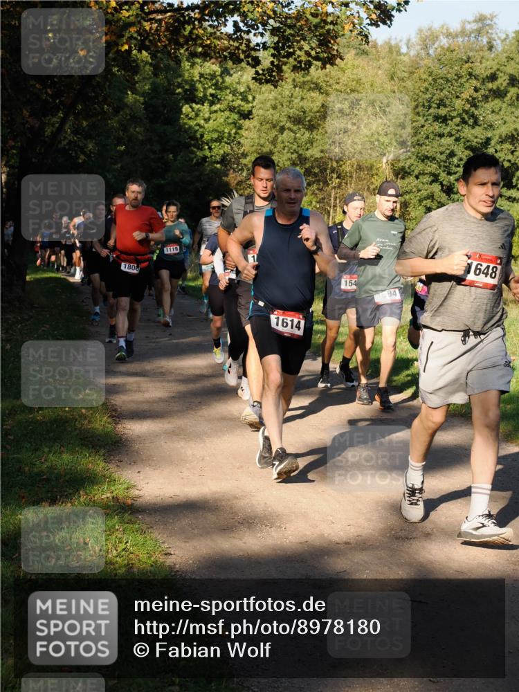 28.09.2025 - 33. Volkslauf durch das schöne Alstertal Fabian Wolf http://msf.ph/oto/8978180 28.09.2025 10:04:46 Laufen 1808, 1119, 1, 154, 1594, 648, 1614 meine-sportfotos.de