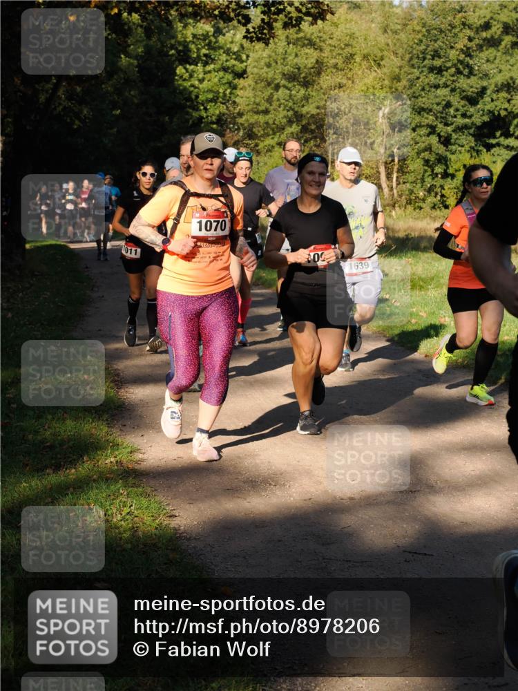28.09.2025 - 33. Volkslauf durch das schöne Alstertal Fabian Wolf http://msf.ph/oto/8978206 28.09.2025 10:05:04 Laufen 1466, 1011, 1070, 29, 51, 1, 0, 1639 meine-sportfotos.de
