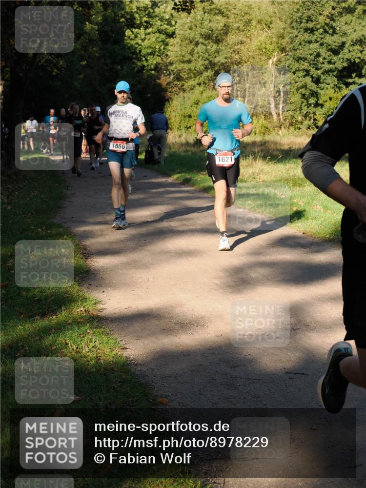 28.09.2025 - 33. Volkslauf durch das schöne Alstertal Fabian Wolf http://msf.ph/oto/8978229 28.09.2025 10:05:10 Laufen 1032, 1656, 1621 meine-sportfotos.de