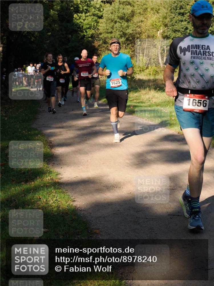 28.09.2025 - 33. Volkslauf durch das schöne Alstertal Fabian Wolf http://msf.ph/oto/8978240 28.09.2025 10:05:13 Laufen 1613, 16, 620, 1032, 1642, 1625, 1656 meine-sportfotos.de