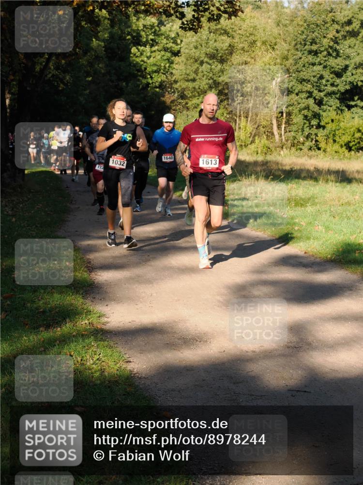 28.09.2025 - 33. Volkslauf durch das schöne Alstertal Fabian Wolf http://msf.ph/oto/8978244 28.09.2025 10:05:15 Laufen 172, 1032, 1640, 1613 meine-sportfotos.de