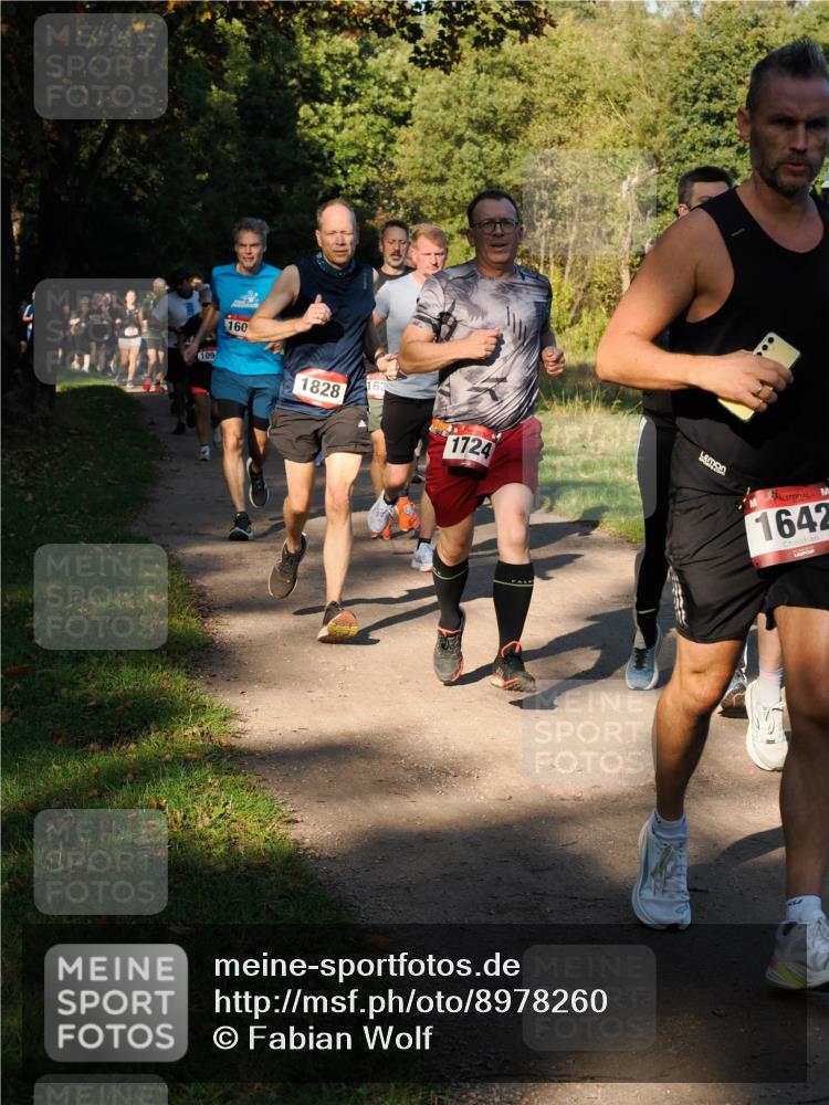 28.09.2025 - 33. Volkslauf durch das schöne Alstertal Fabian Wolf http://msf.ph/oto/8978260 28.09.2025 10:05:19 Laufen 109, 160, 1828, 162, 1724, 1642 meine-sportfotos.de