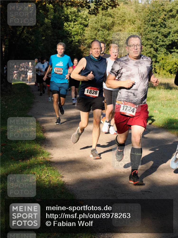 28.09.2025 - 33. Volkslauf durch das schöne Alstertal Fabian Wolf http://msf.ph/oto/8978263 28.09.2025 10:05:20 Laufen 170, 1600, 1828, 1724 meine-sportfotos.de