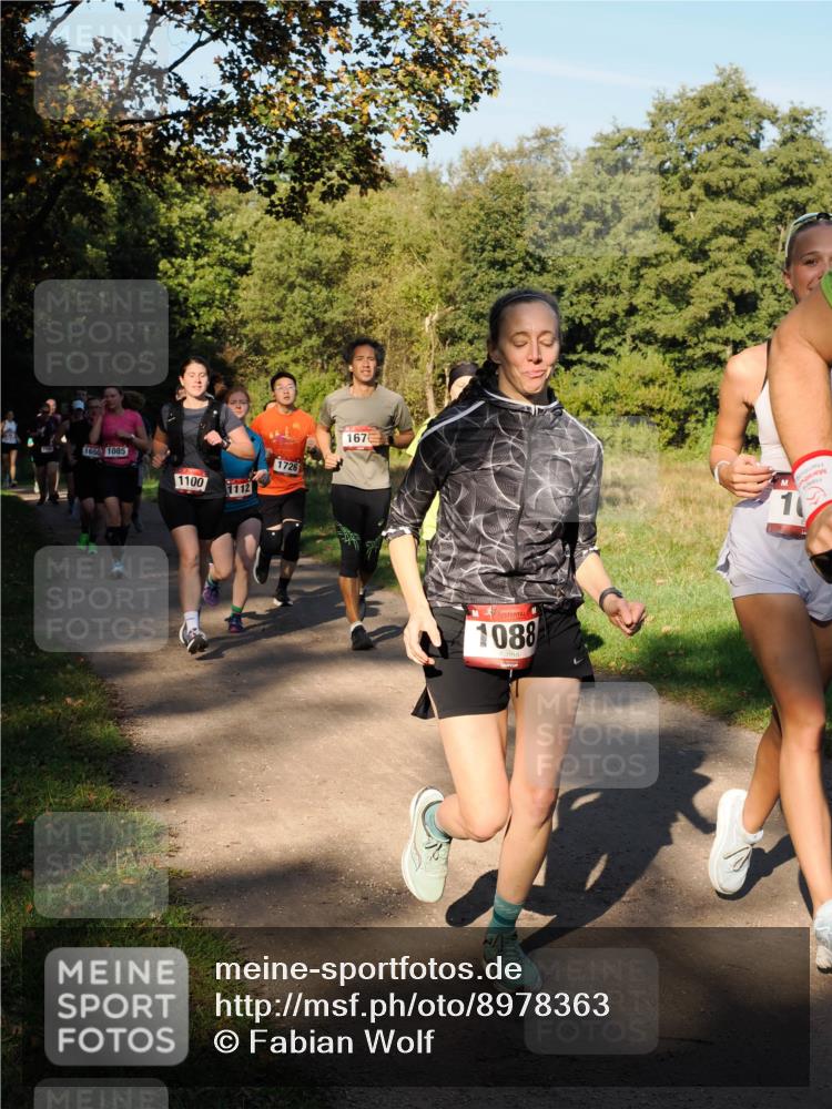 28.09.2025 - 33. Volkslauf durch das schöne Alstertal Fabian Wolf http://msf.ph/oto/8978363 28.09.2025 10:06:02 Laufen 167, 1650, 1085, 1726, 1100, 1112, 1088, 10 meine-sportfotos.de