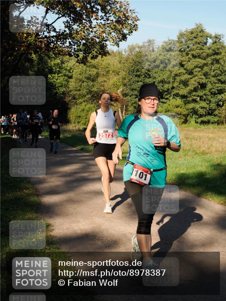 28.09.2025 - 33. Volkslauf durch das schöne Alstertal Fabian Wolf http://msf.ph/oto/8978387 28.09.2025 10:06:16 Laufen 1745, 1120, 1756, 2572, 20, 101, 129 meine-sportfotos.de