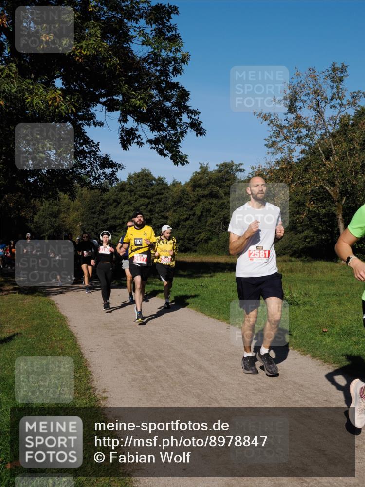 28.09.2025 - 33. Volkslauf durch das schöne Alstertal Fabian Wolf http://msf.ph/oto/8978847 28.09.2025 10:25:03 Laufen 1, 1, 2017, 494, 2581 meine-sportfotos.de