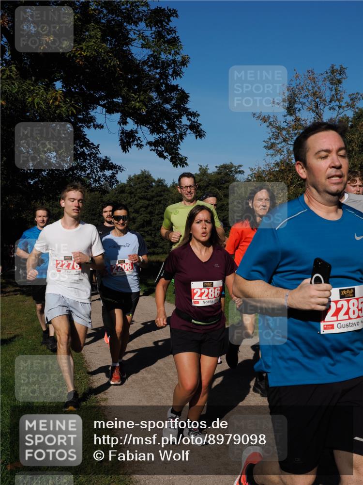28.09.2025 - 33. Volkslauf durch das schöne Alstertal Fabian Wolf http://msf.ph/oto/8979098 28.09.2025 10:25:45 Laufen 2276, 2206, 2828, 10, 2286, 2285 meine-sportfotos.de