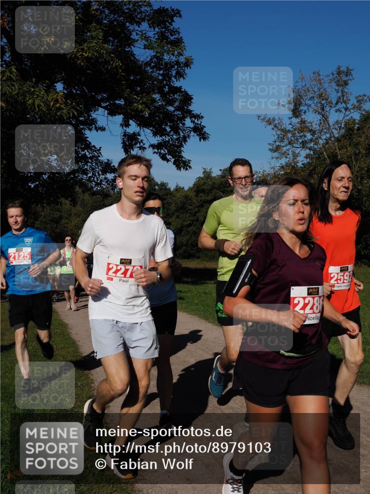 28.09.2025 - 33. Volkslauf durch das schöne Alstertal Fabian Wolf http://msf.ph/oto/8979103 28.09.2025 10:25:45 Laufen 2125, 2272, 228, 2592 meine-sportfotos.de
