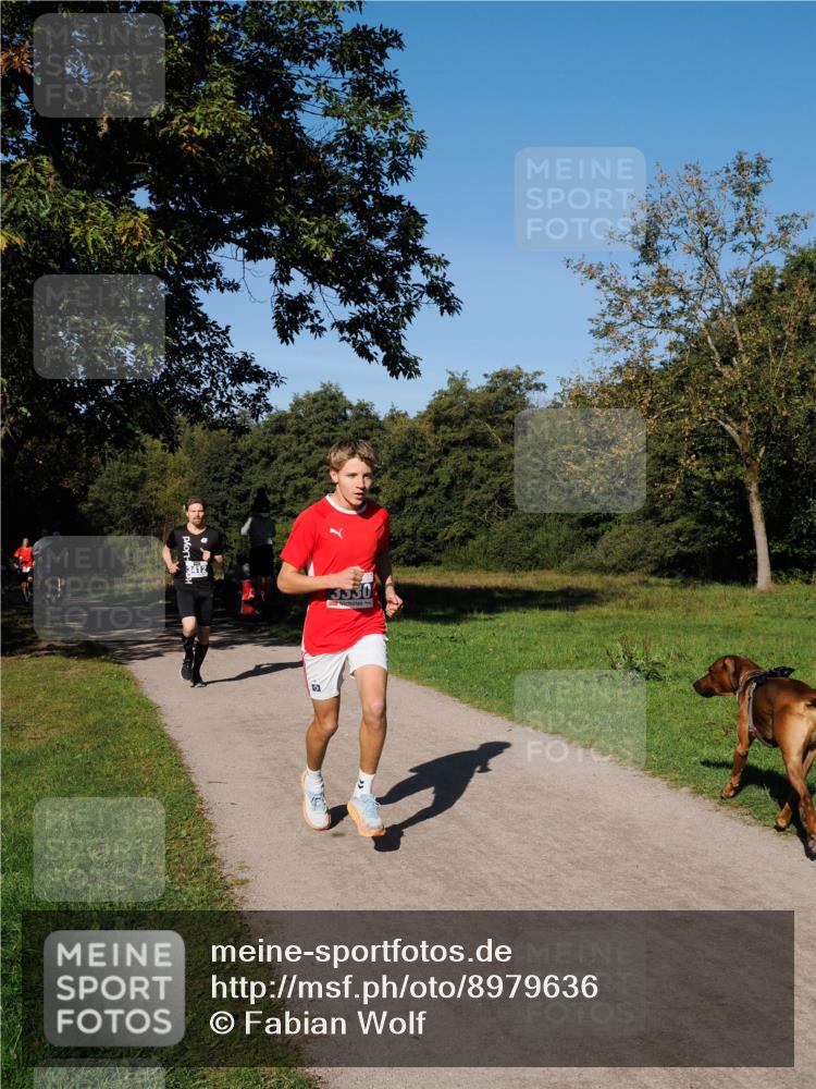 28.09.2025 - 33. Volkslauf durch das schöne Alstertal Fabian Wolf http://msf.ph/oto/8979636 28.09.2025 10:33:24 Laufen 13530 meine-sportfotos.de