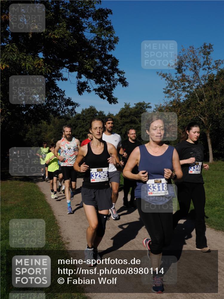 28.09.2025 - 33. Volkslauf durch das schöne Alstertal Fabian Wolf http://msf.ph/oto/8980114 28.09.2025 10:35:11 Laufen 3046, 3295, 3318, 3346 meine-sportfotos.de