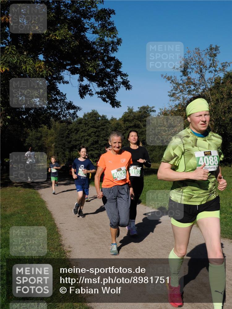 28.09.2025 - 33. Volkslauf durch das schöne Alstertal Fabian Wolf http://msf.ph/oto/8981751 28.09.2025 10:40:19 Laufen 4127, 4032, 4103, 4088 meine-sportfotos.de