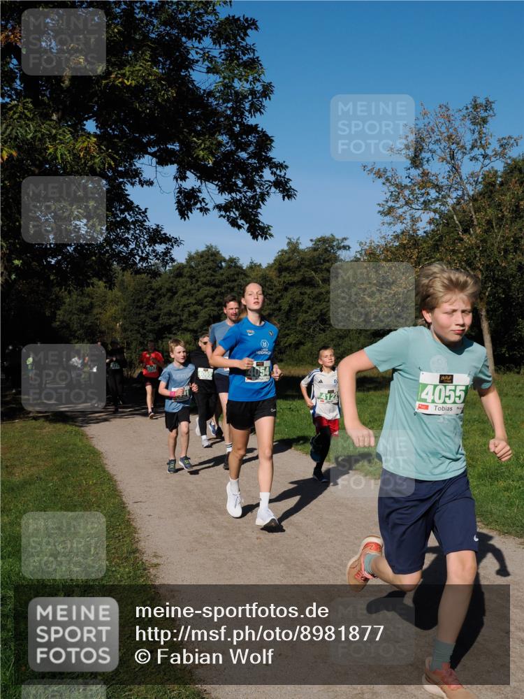 28.09.2025 - 33. Volkslauf durch das schöne Alstertal Fabian Wolf http://msf.ph/oto/8981877 28.09.2025 10:40:40 Laufen 4917, 4065, 4055 meine-sportfotos.de