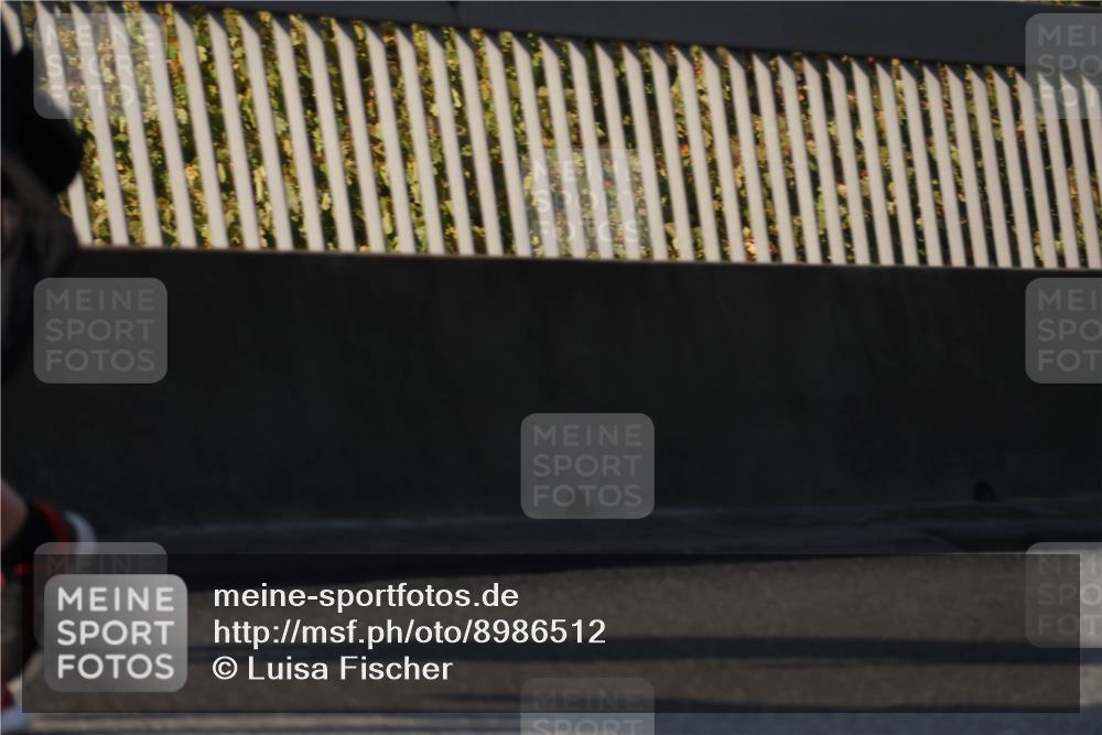 03.10.2025 - Köhlbrandbrückenlauf Luisa Fischer http://msf.ph/oto/8986512 03.10.2025 11:20:34 Position 3 2 meine-sportfotos.de