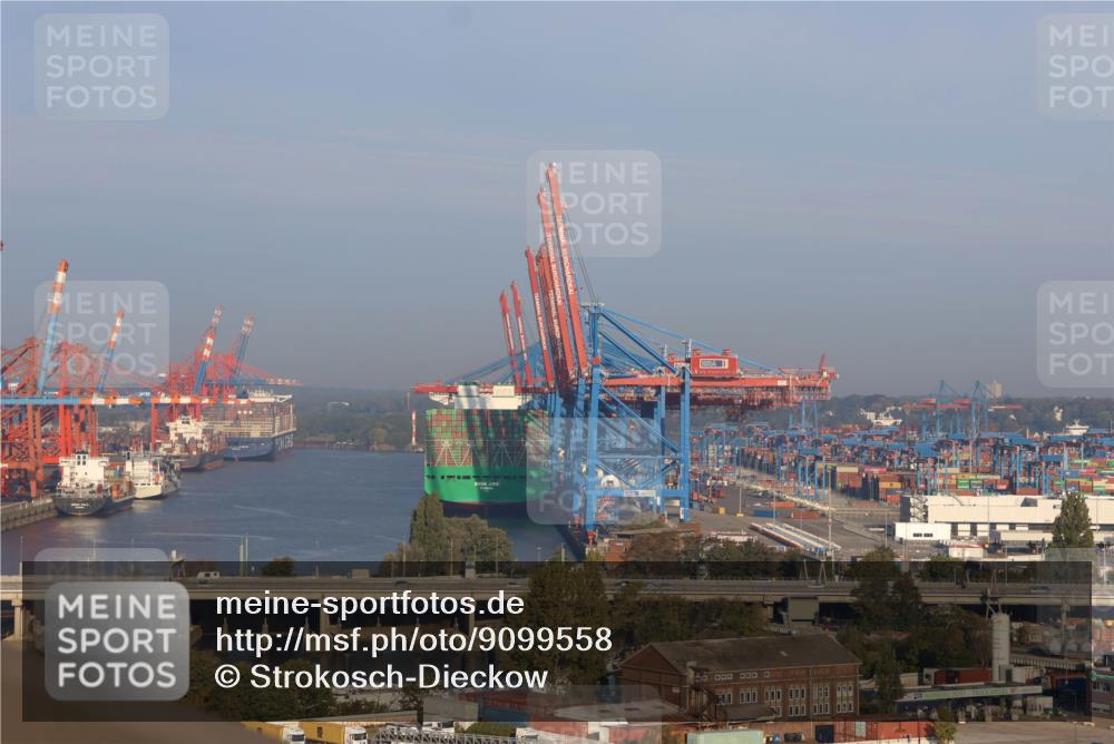 03.10.2025 - Köhlbrandbrückenlauf Strokosch-Dieckow http://msf.ph/oto/9099558 03.10.2025 09:07:53 Position 1 000, 000, 498 meine-sportfotos.de