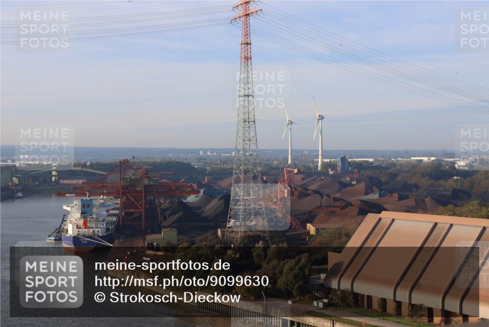 03.10.2025 - Köhlbrandbrückenlauf Strokosch-Dieckow http://msf.ph/oto/9099630 03.10.2025 09:09:12 Position 1  meine-sportfotos.de