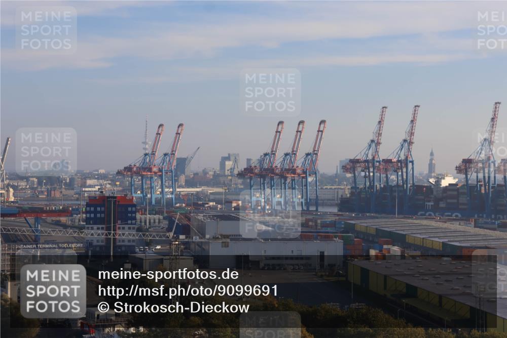 03.10.2025 - Köhlbrandbrückenlauf Strokosch-Dieckow http://msf.ph/oto/9099691 03.10.2025 09:10:24 Position 1  meine-sportfotos.de