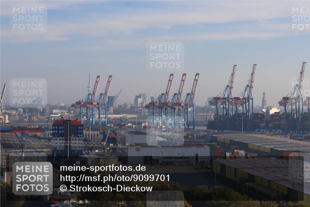 03.10.2025 - Köhlbrandbrückenlauf Strokosch-Dieckow http://msf.ph/oto/9099701 03.10.2025 09:10:24 Position 1  meine-sportfotos.de