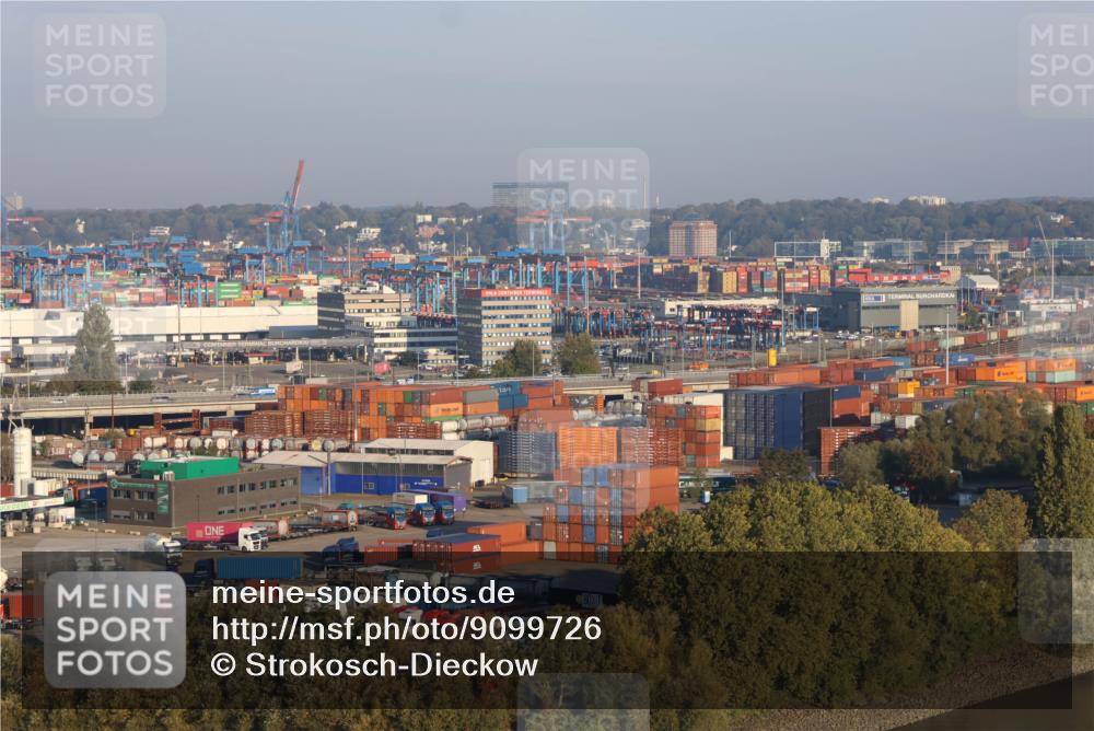 03.10.2025 - Köhlbrandbrückenlauf Strokosch-Dieckow http://msf.ph/oto/9099726 03.10.2025 09:10:44 Position 1  meine-sportfotos.de