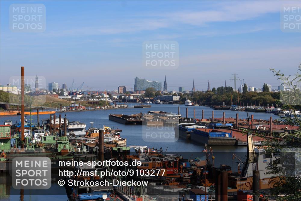 03.10.2025 - Köhlbrandbrückenlauf Strokosch-Dieckow http://msf.ph/oto/9103277 03.10.2025 11:46:26 Position 3 5101290, 048015700 meine-sportfotos.de