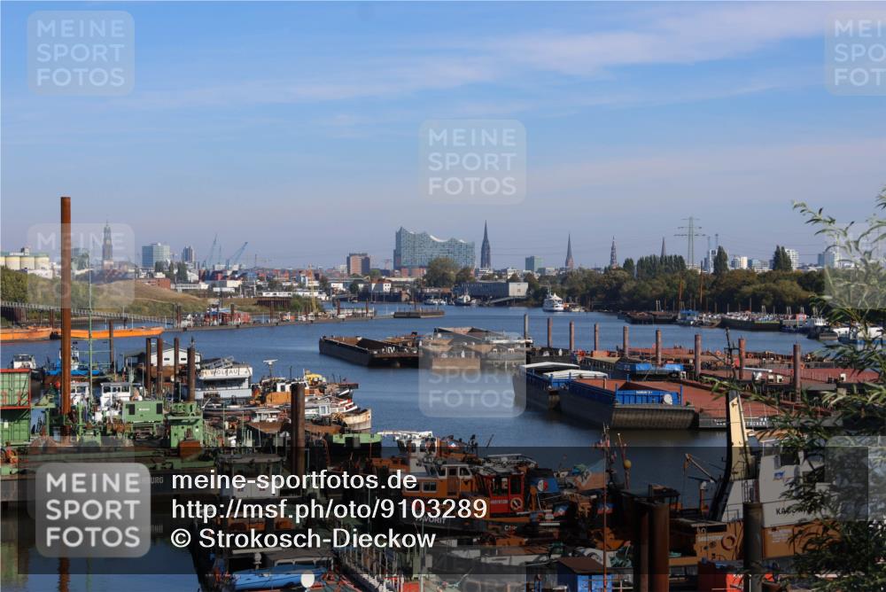 03.10.2025 - Köhlbrandbrückenlauf Strokosch-Dieckow http://msf.ph/oto/9103289 03.10.2025 11:46:26 Position 3 5101980, 5101290, 19, 048015700 meine-sportfotos.de