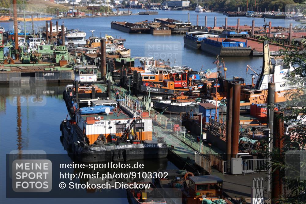 03.10.2025 - Köhlbrandbrückenlauf Strokosch-Dieckow http://msf.ph/oto/9103302 03.10.2025 11:46:31 Position 3 16, 38, 863, 02326555, 05101290, 04801570 meine-sportfotos.de
