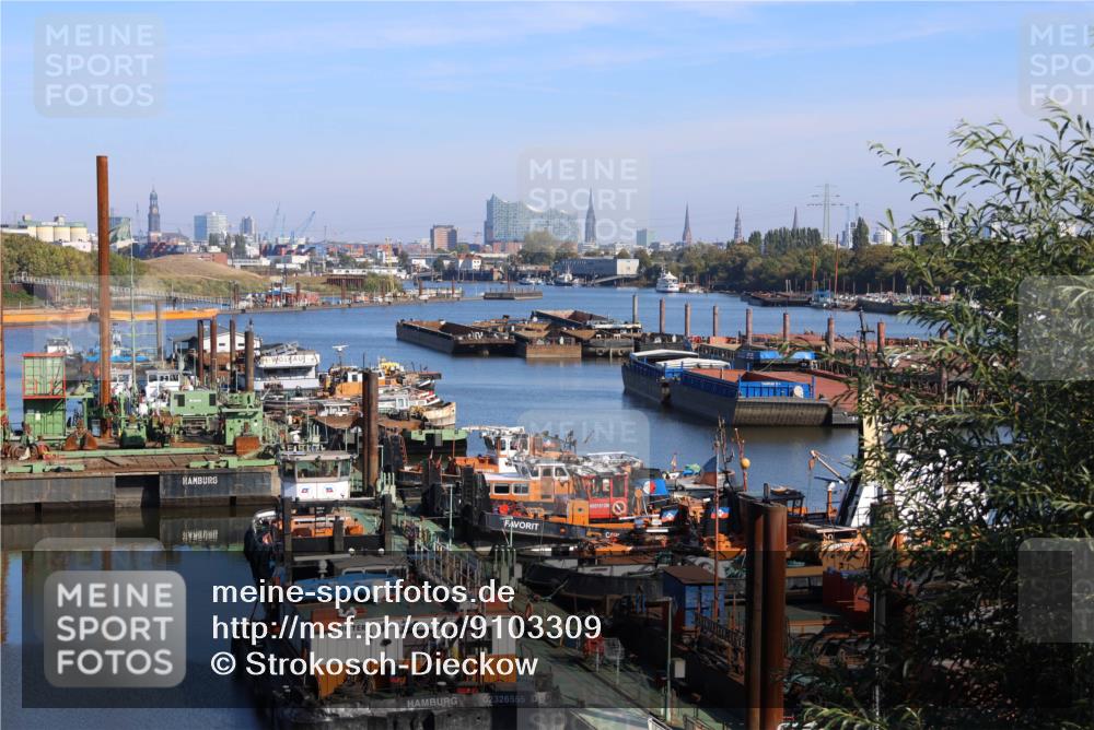 03.10.2025 - Köhlbrandbrückenlauf Strokosch-Dieckow http://msf.ph/oto/9103309 03.10.2025 11:47:14 Position 3 02326555, 5101290 meine-sportfotos.de