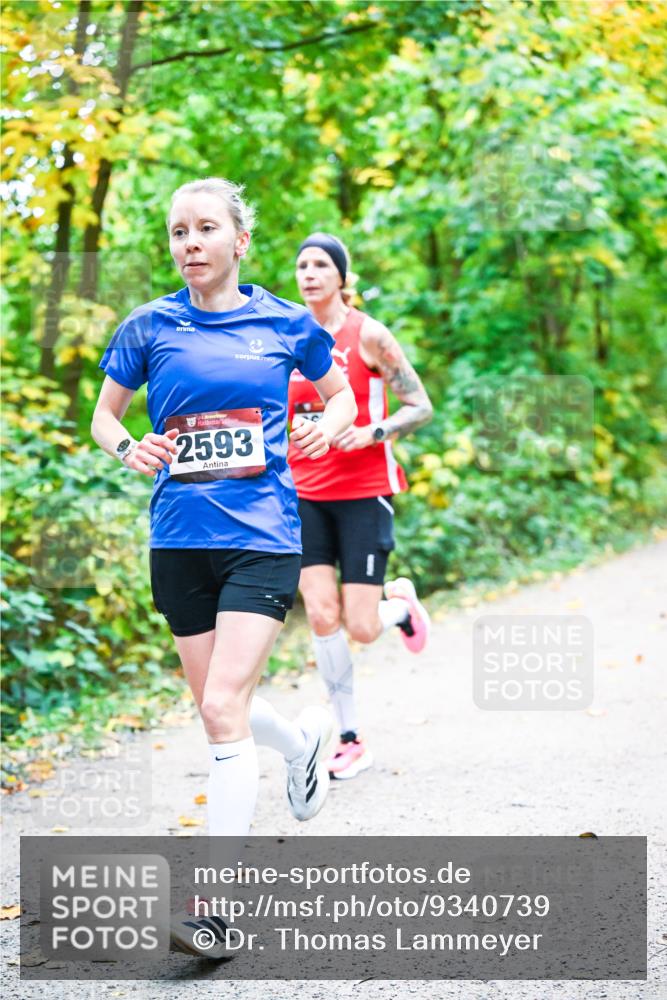 12.10.2025 - Bramfelder Halbmarathon 2025 Dr. Thomas Lammeyer http://msf.ph/oto/9340739 12.10.2025 09:49:09 Laufen 2593 meine-sportfotos.de