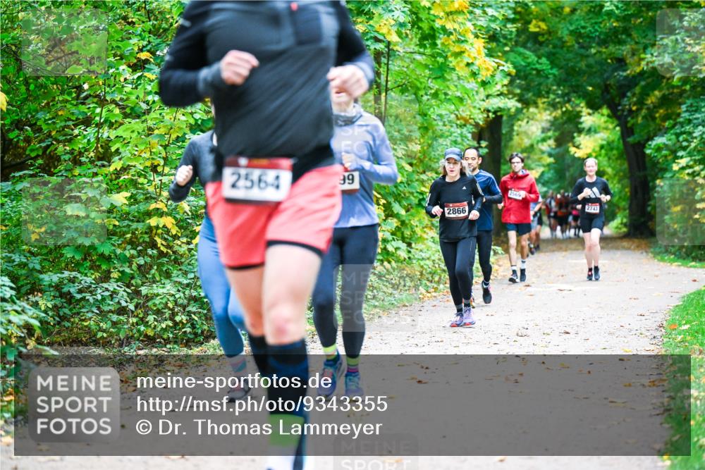 12.10.2025 - Bramfelder Halbmarathon 2025 Dr. Thomas Lammeyer http://msf.ph/oto/9343355 12.10.2025 09:58:12 Laufen 2564, 99, 2866, 2569, 2743 meine-sportfotos.de