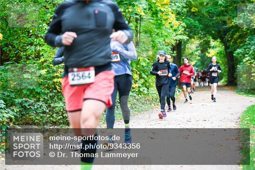 12.10.2025 - Bramfelder Halbmarathon 2025 Dr. Thomas Lammeyer http://msf.ph/oto/9343356 12.10.2025 09:58:12 Laufen 2564, 99, 866, 2569, 2743 meine-sportfotos.de