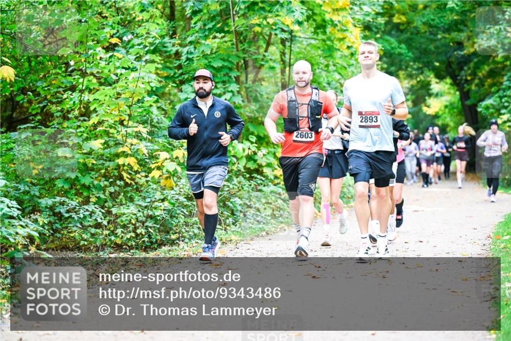 12.10.2025 - Bramfelder Halbmarathon 2025 Dr. Thomas Lammeyer http://msf.ph/oto/9343486 12.10.2025 09:58:33 Laufen 2603, 2893 meine-sportfotos.de