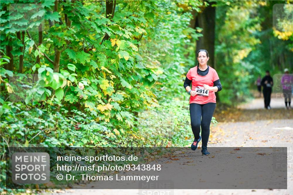 12.10.2025 - Bramfelder Halbmarathon 2025 Dr. Thomas Lammeyer http://msf.ph/oto/9343848 12.10.2025 10:00:59 Laufen 2914 meine-sportfotos.de