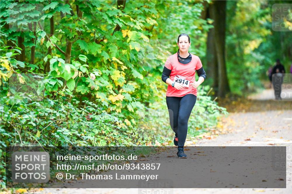 12.10.2025 - Bramfelder Halbmarathon 2025 Dr. Thomas Lammeyer http://msf.ph/oto/9343857 12.10.2025 10:01:01 Laufen 2914 meine-sportfotos.de