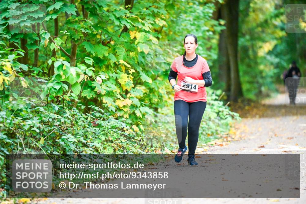 12.10.2025 - Bramfelder Halbmarathon 2025 Dr. Thomas Lammeyer http://msf.ph/oto/9343858 12.10.2025 10:01:01 Laufen 2914 meine-sportfotos.de