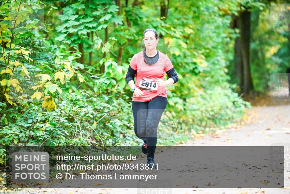 12.10.2025 - Bramfelder Halbmarathon 2025 Dr. Thomas Lammeyer http://msf.ph/oto/9343871 12.10.2025 10:01:03 Laufen 2914 meine-sportfotos.de