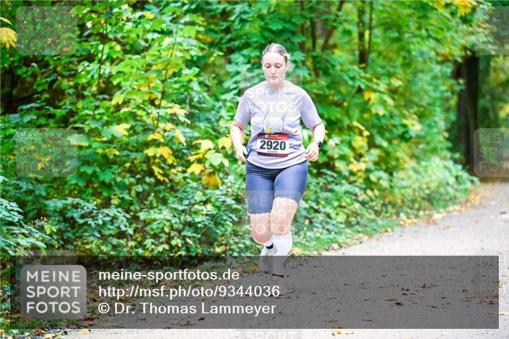 12.10.2025 - Bramfelder Halbmarathon 2025 Dr. Thomas Lammeyer http://msf.ph/oto/9344036 12.10.2025 10:02:29 Laufen 2920 meine-sportfotos.de