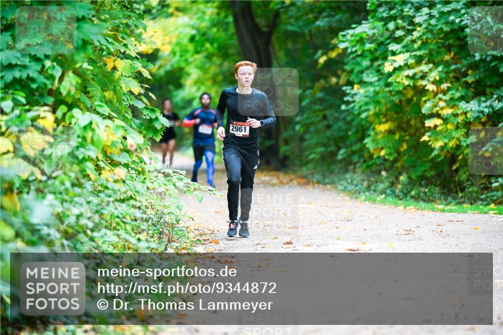 12.10.2025 - Bramfelder Halbmarathon 2025 Dr. Thomas Lammeyer http://msf.ph/oto/9344872 12.10.2025 10:12:56 Laufen 2961 meine-sportfotos.de