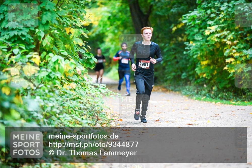 12.10.2025 - Bramfelder Halbmarathon 2025 Dr. Thomas Lammeyer http://msf.ph/oto/9344877 12.10.2025 10:12:57 Laufen 2961 meine-sportfotos.de