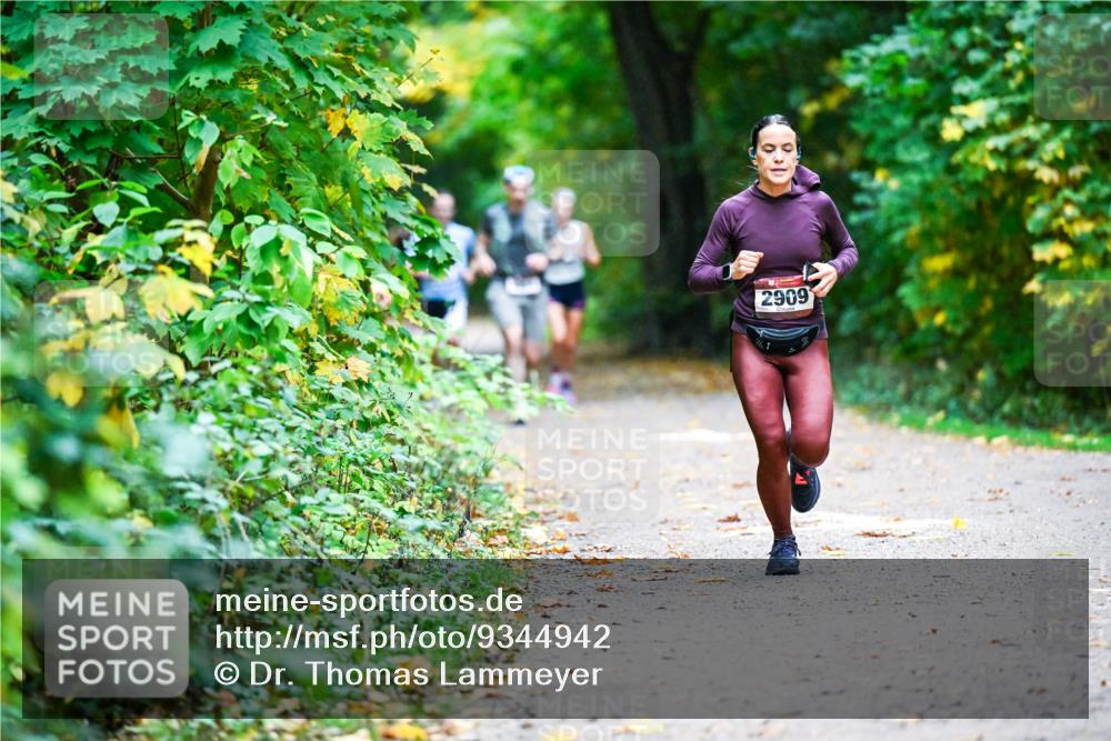 12.10.2025 - Bramfelder Halbmarathon 2025 Dr. Thomas Lammeyer http://msf.ph/oto/9344942 12.10.2025 10:13:23 Laufen 2909 meine-sportfotos.de