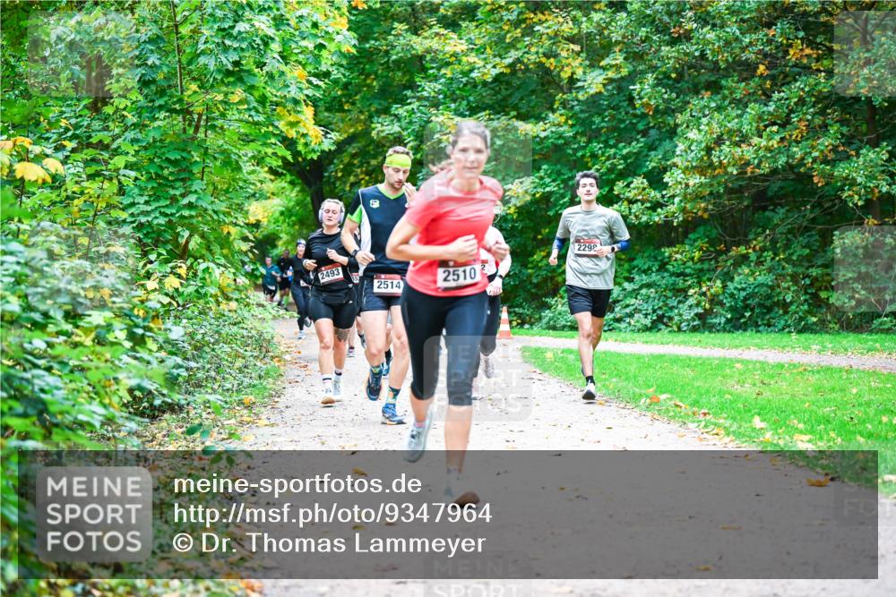 12.10.2025 - Bramfelder Halbmarathon 2025 Dr. Thomas Lammeyer http://msf.ph/oto/9347964 12.10.2025 10:25:36 Laufen 2493, 2514, 2510, 2292 meine-sportfotos.de