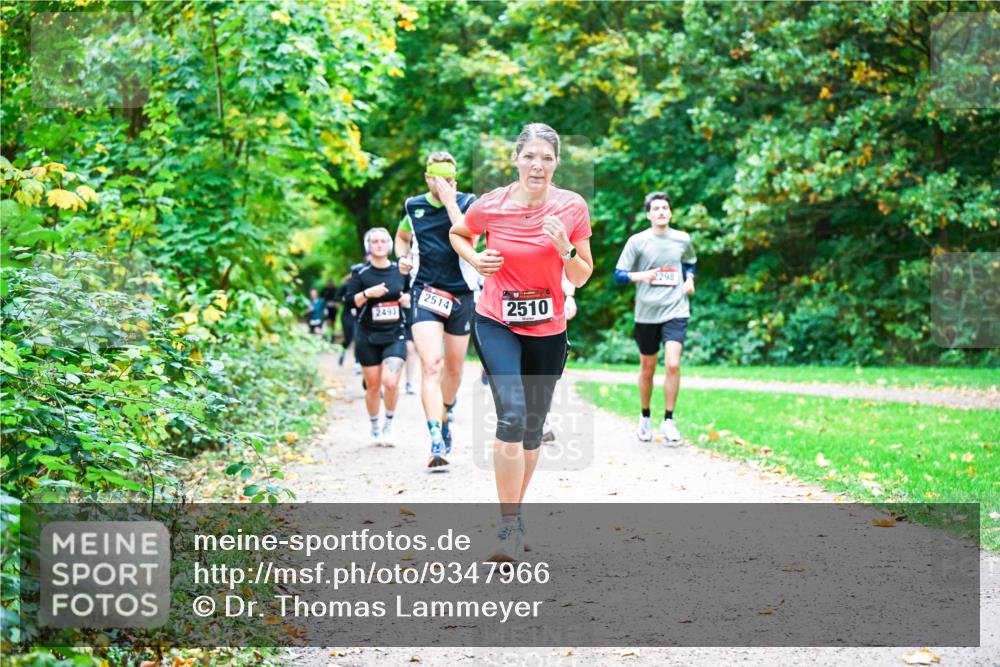 12.10.2025 - Bramfelder Halbmarathon 2025 Dr. Thomas Lammeyer http://msf.ph/oto/9347966 12.10.2025 10:25:36 Laufen 298, 2514, 2510, 2493 meine-sportfotos.de
