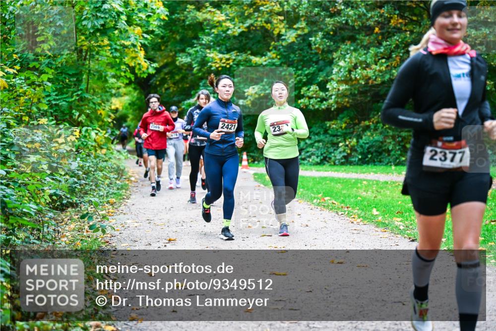 12.10.2025 - Bramfelder Halbmarathon 2025 Dr. Thomas Lammeyer http://msf.ph/oto/9349512 12.10.2025 10:31:04 Laufen 2569, 678, 2421, 23, 2377 meine-sportfotos.de