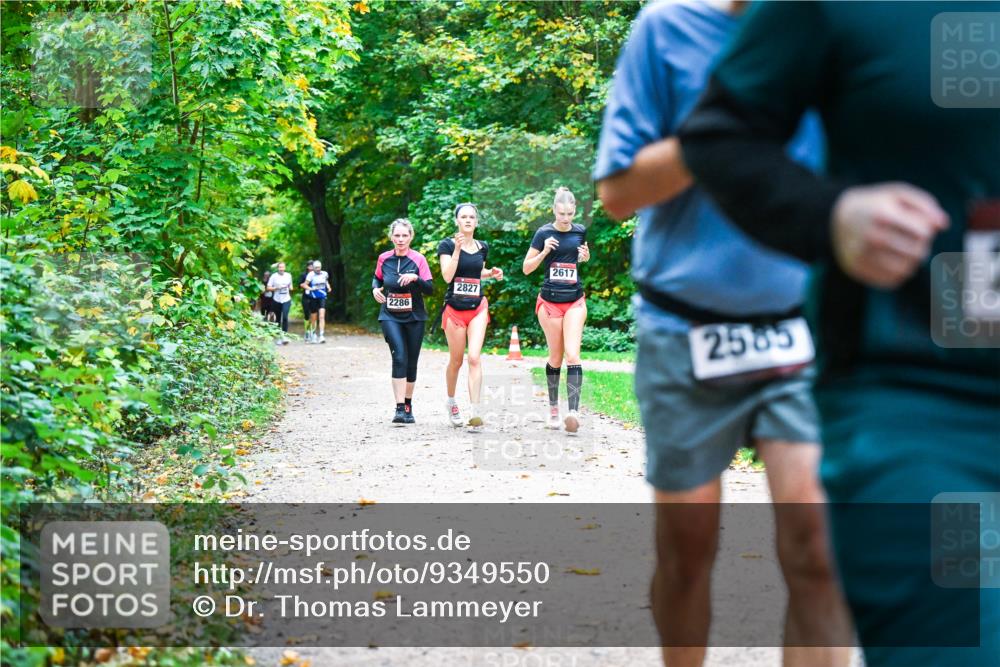 12.10.2025 - Bramfelder Halbmarathon 2025 Dr. Thomas Lammeyer http://msf.ph/oto/9349550 12.10.2025 10:31:12 Laufen 2286, 2827, 2617, 2585 meine-sportfotos.de