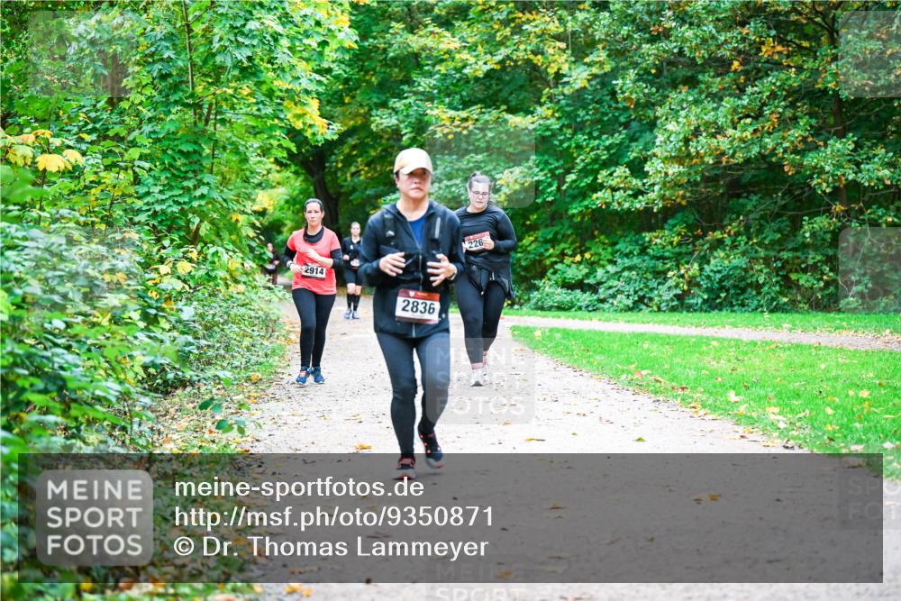 12.10.2025 - Bramfelder Halbmarathon 2025 Dr. Thomas Lammeyer http://msf.ph/oto/9350871 12.10.2025 10:36:15 Laufen 2914, 2836, 226 meine-sportfotos.de