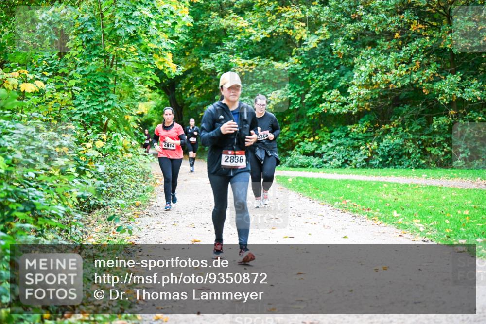 12.10.2025 - Bramfelder Halbmarathon 2025 Dr. Thomas Lammeyer http://msf.ph/oto/9350872 12.10.2025 10:36:15 Laufen 2914, 2836, 2265 meine-sportfotos.de