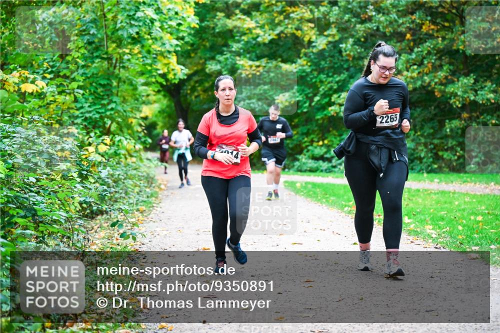 12.10.2025 - Bramfelder Halbmarathon 2025 Dr. Thomas Lammeyer http://msf.ph/oto/9350891 12.10.2025 10:36:18 Laufen 014, 2265 meine-sportfotos.de