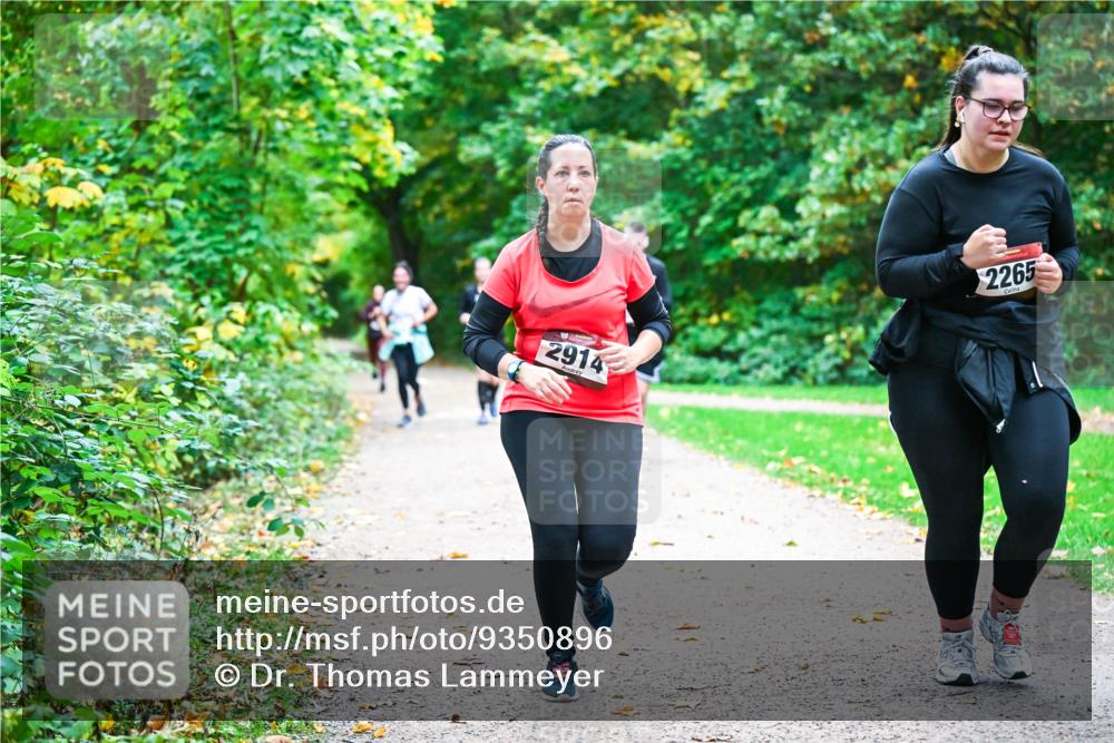 12.10.2025 - Bramfelder Halbmarathon 2025 Dr. Thomas Lammeyer http://msf.ph/oto/9350896 12.10.2025 10:36:19 Laufen 2914, 2265 meine-sportfotos.de