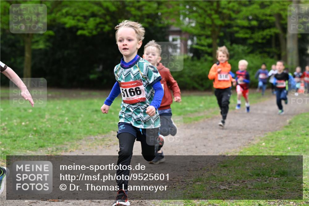 19.04.2026 - Hammer Lauf Dr. Thomas Lammeyer http://msf.ph/oto/9525601 19.04.2026 09:10:47 Laufen 166 meine-sportfotos.de