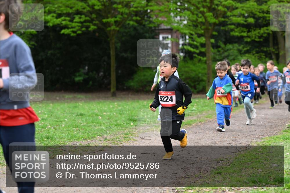 19.04.2026 - Hammer Lauf Dr. Thomas Lammeyer http://msf.ph/oto/9525786 19.04.2026 09:11:04 Laufen 5224, 4424, 189 meine-sportfotos.de