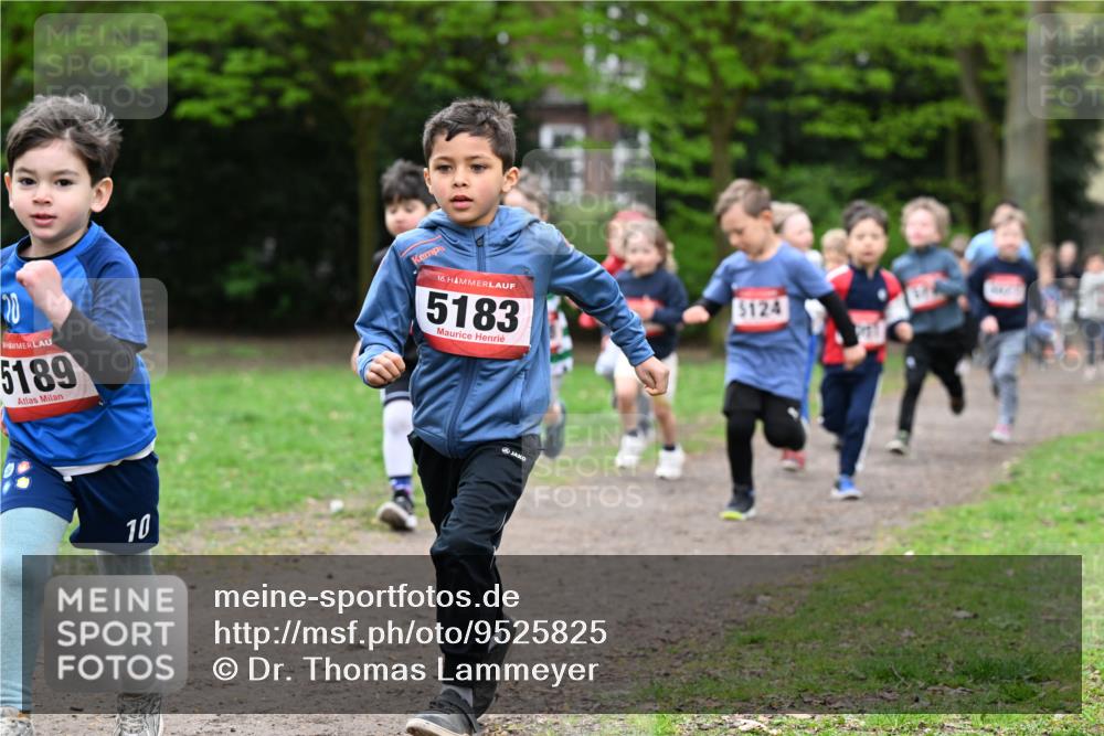 19.04.2026 - Hammer Lauf Dr. Thomas Lammeyer http://msf.ph/oto/9525825 19.04.2026 09:11:08 Laufen 5189, 5183, 4201, 124 meine-sportfotos.de